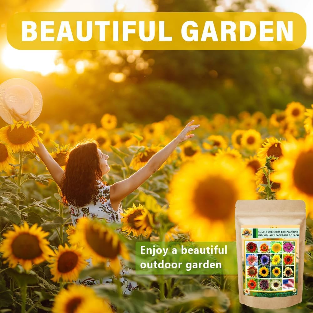 1000+ Sunflower Seeds for Planting Heirloom Non-Gmo, Bulk Package of 15 Varietie