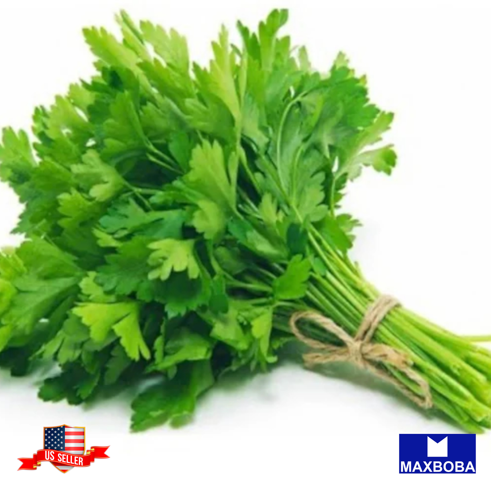 Chinese Celery Seeds Yellow Stem Non-GMO Heirloom