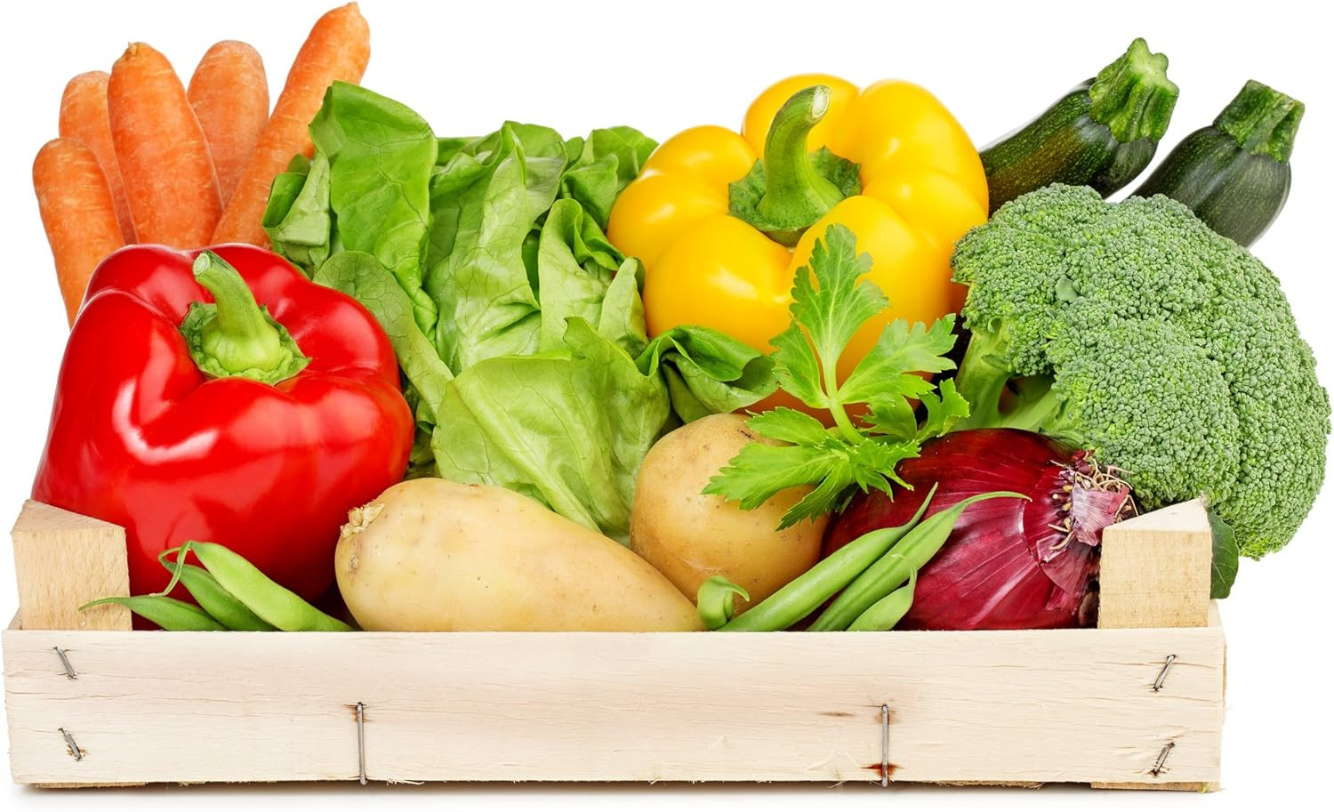 5-14000 Vegetable Garden Seeds 13 Variety 1 Lb No. 10 Can