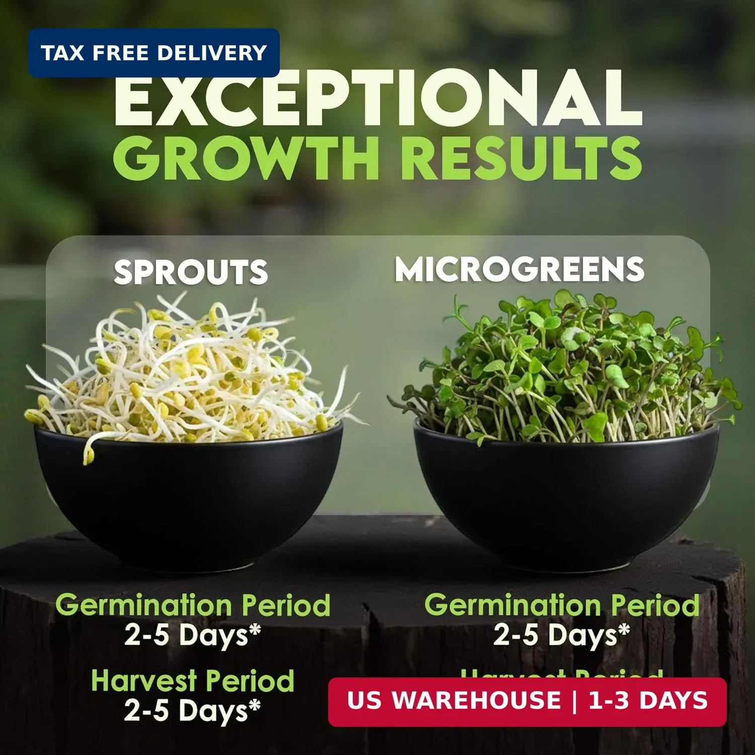 Nature Jim’s Sprouts Organic Salad Mix – Non-GMO Microgreen Seeds, Perfect for G