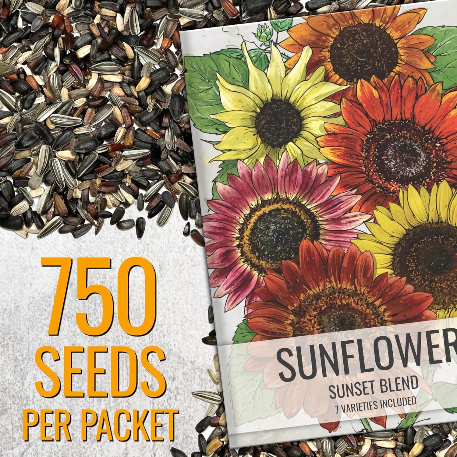 Sunflower Seeds to Plant – Sunset Blend 7 Varieties Mix, 750+ Seeds Heirloom