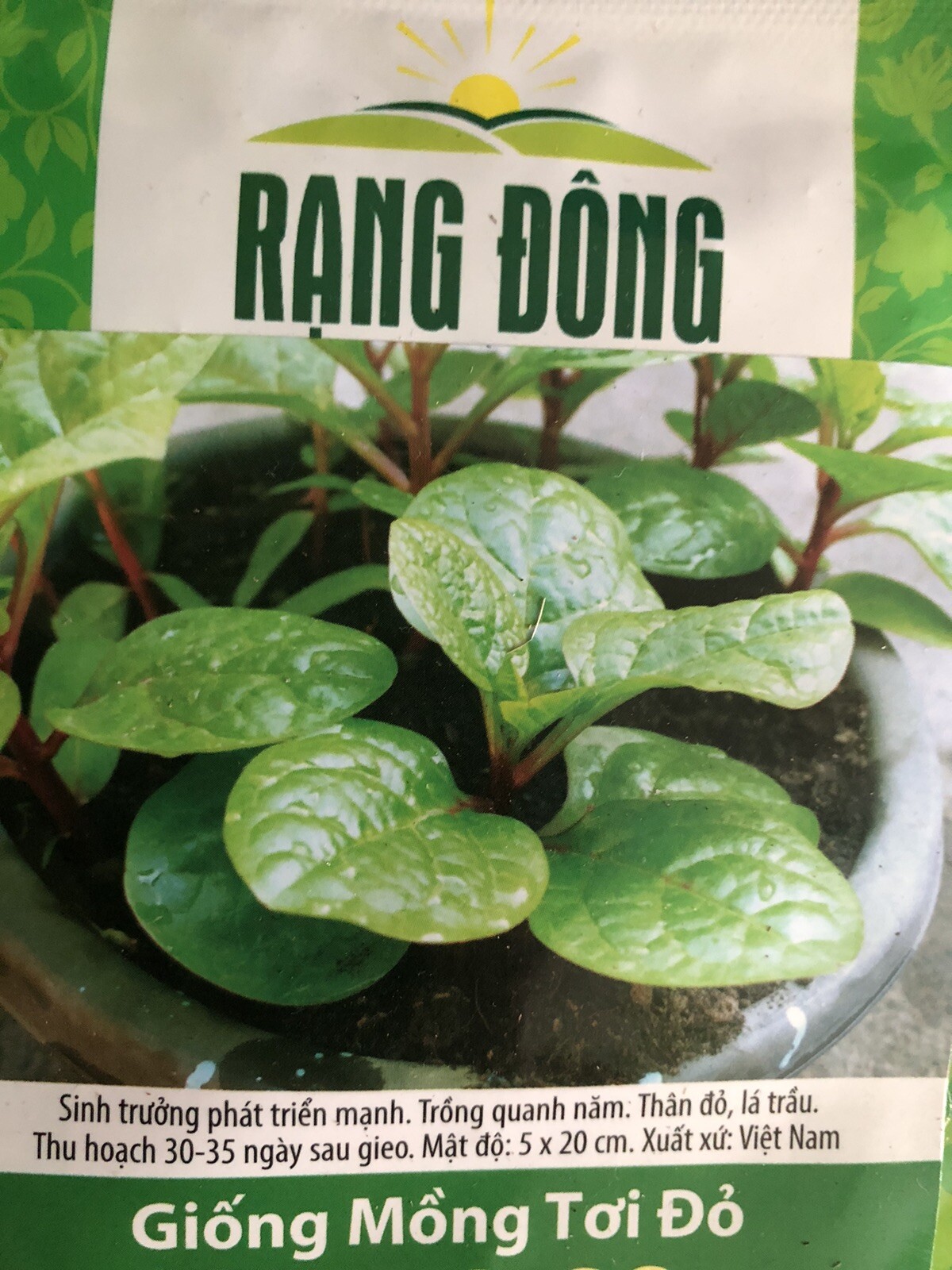 20 Organic Red Stem Malabar Spinach Alugbati Mong Toi Poi Sang