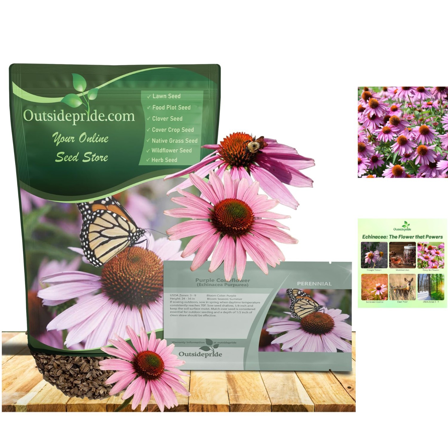 Heirloom Purple Echinacea Coneflower Seeds – 1/4 lb Deer-Resistant & Easy Care