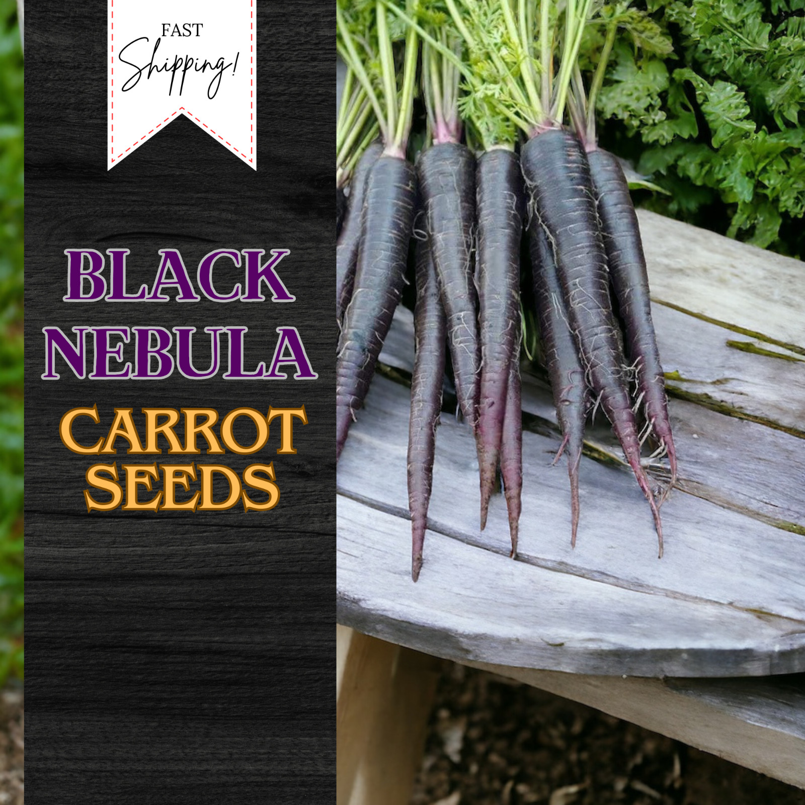 400+ Black Nebula Carrot Seeds | USA Seller | Non-GMO