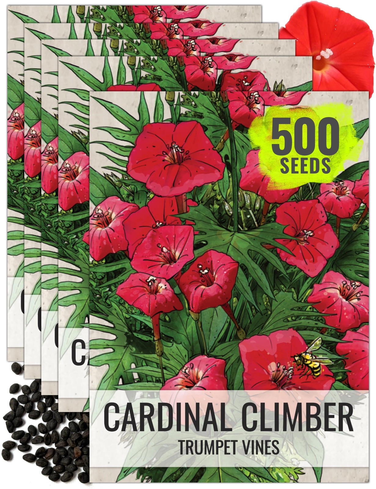 Cardinal Climber Seeds to Plant Red Flowering Vines 5 Packs
