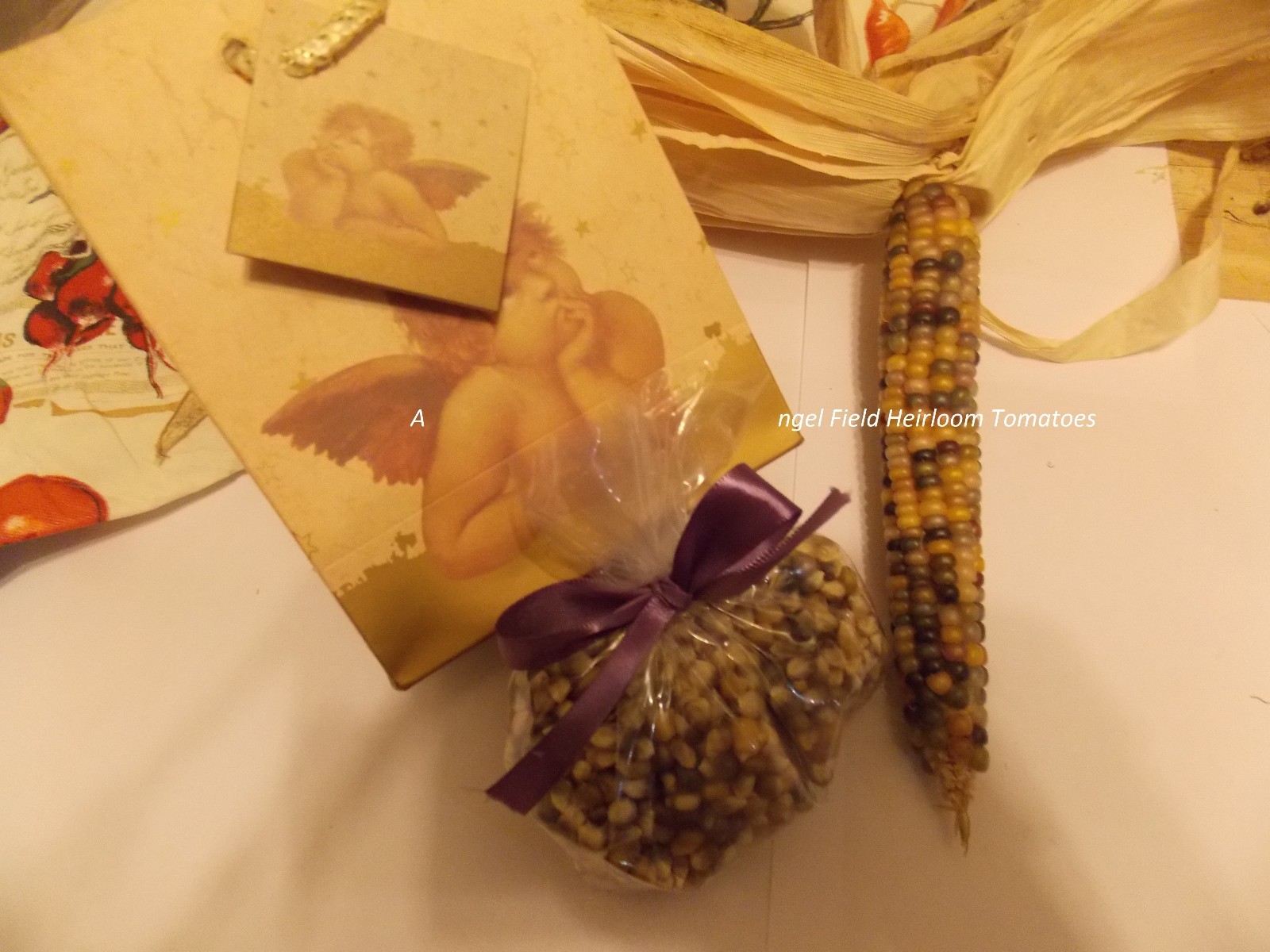 50 Corn Seeds Historical Native American Seeds & 2 Packs of Free Seeds