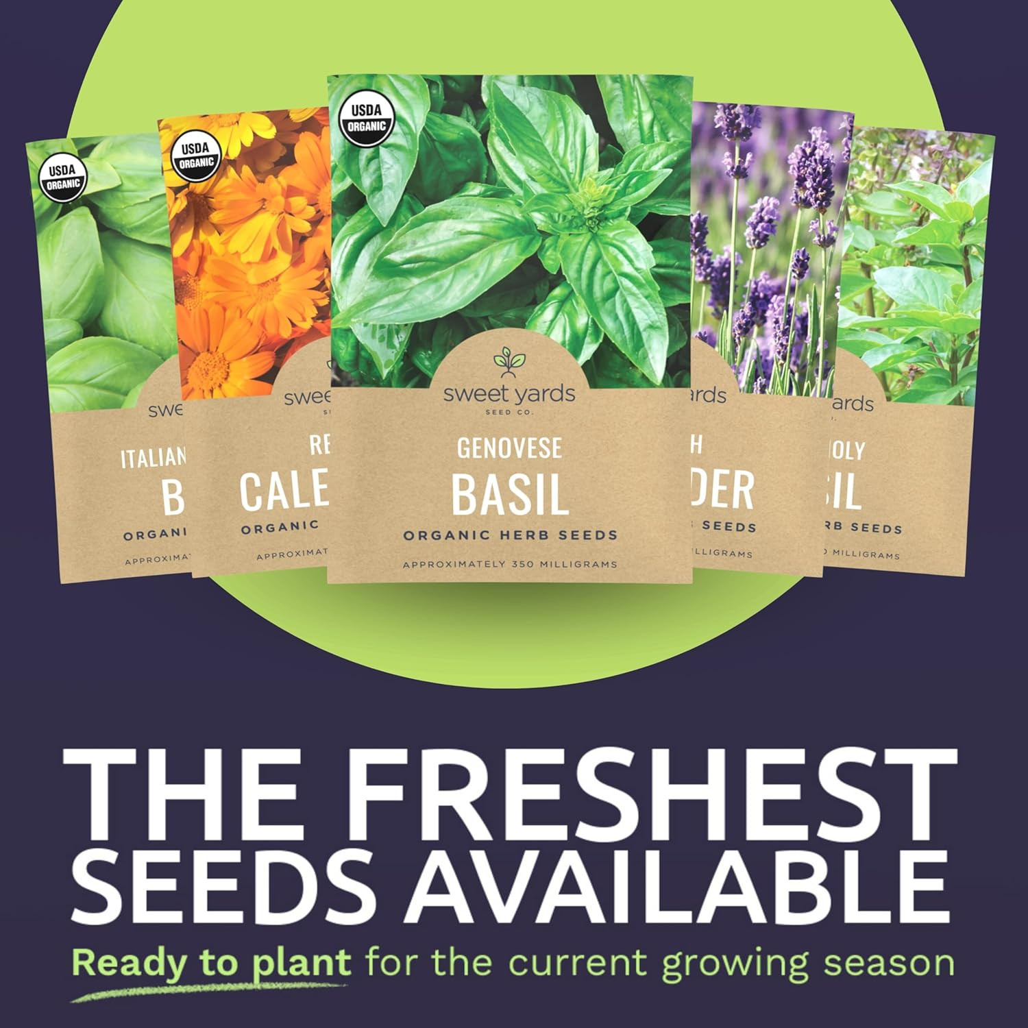Organic Herb Seeds Variety Pack – 35 Individual Packs – 2026 Season – Basil, Cil
