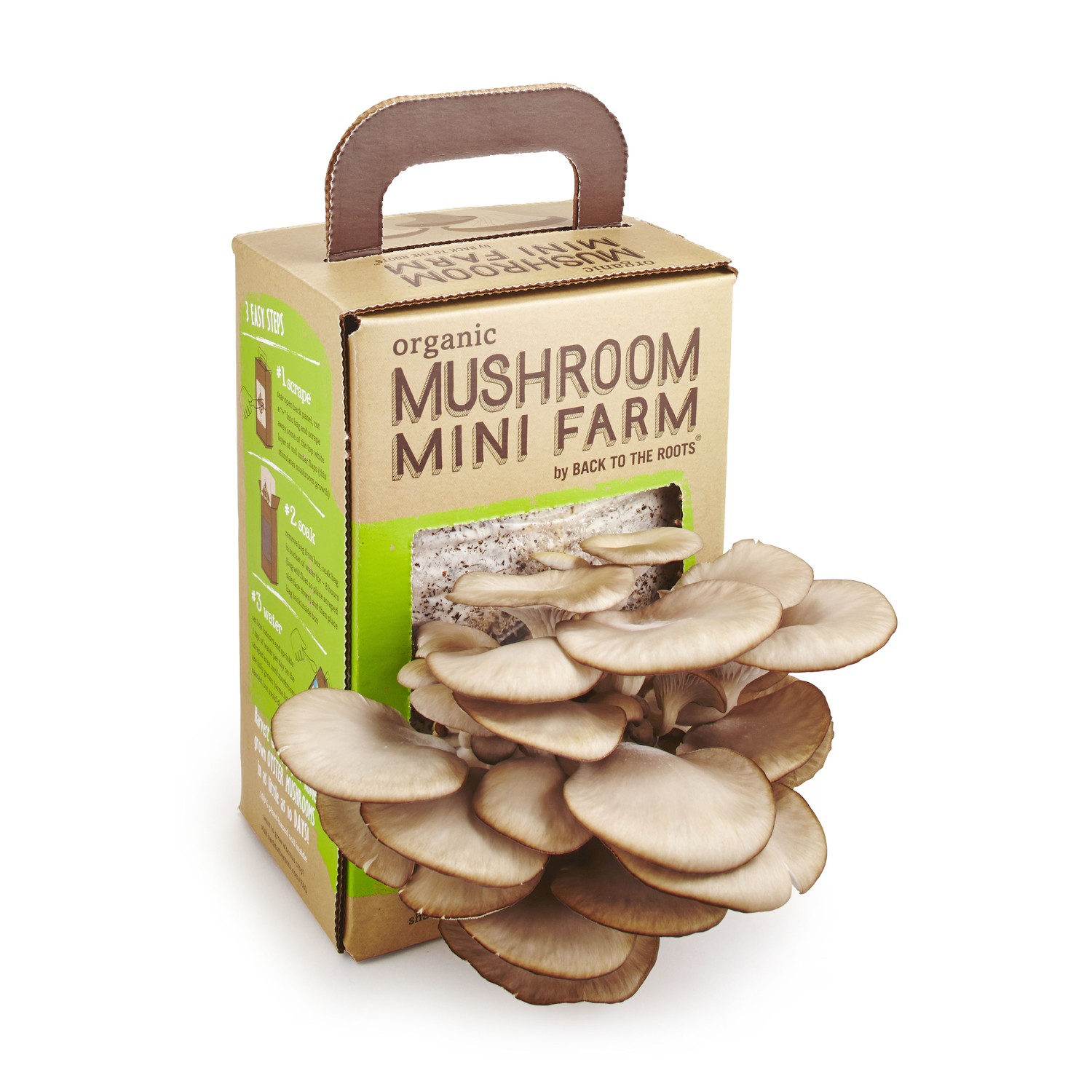 Back to the Roots All Season Fresh Windowsill Garden Organic Mushroom Mini Farm