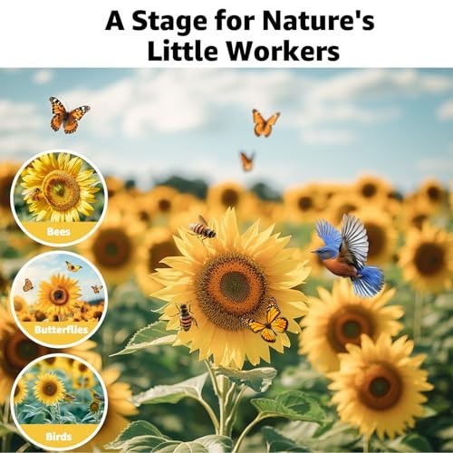 5000+ Non-GMO Sunflower Seeds Mix – 15 Varieties, Heirloom, High Germination, Ga