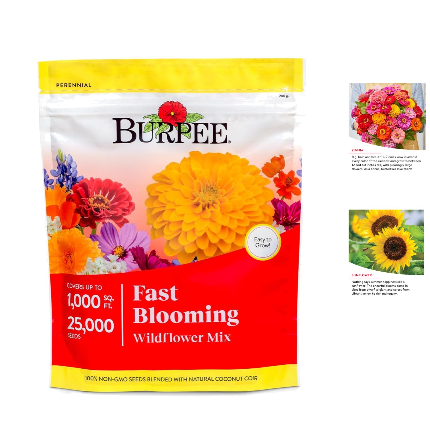 Fast Blooming Wildflower Seed Mix – 25,000 Non-GMO Seeds – 14 Flower Varieties
