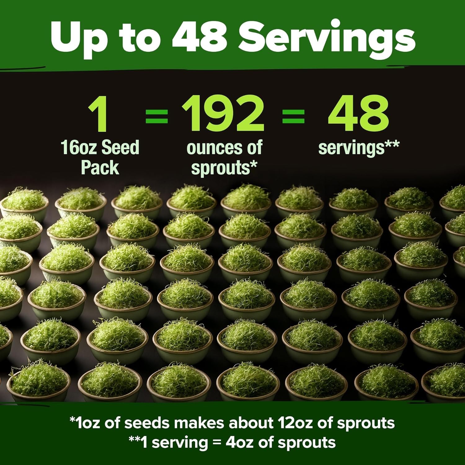 Sprouting Seeds Mix – Microgreens 118,200 Seeds for Indoor Growing – Non-GMO …