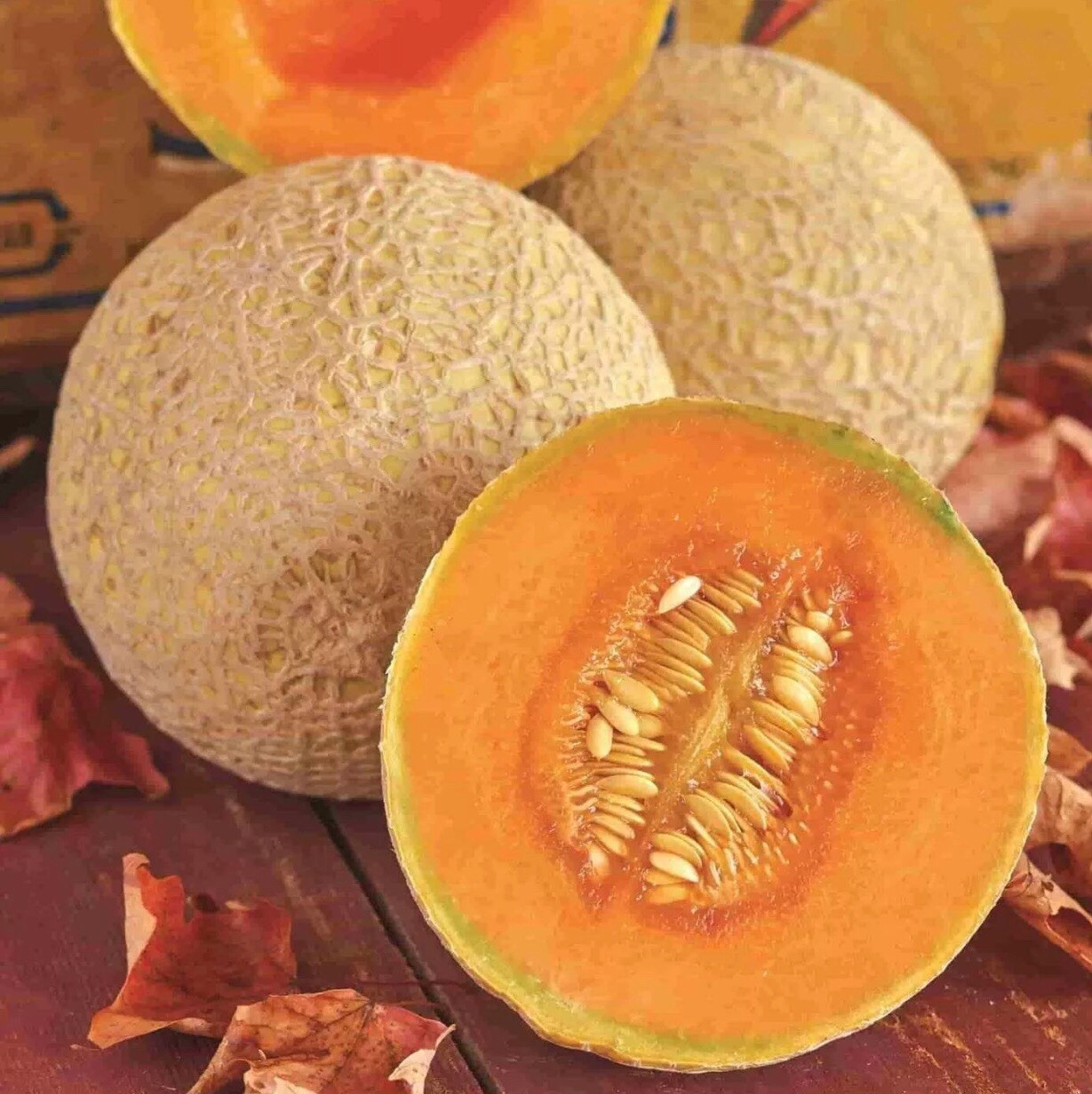 Cantaloupe – Hearts Of Gold Seeds | Heirloom | Non-GMO | 25+ Seeds