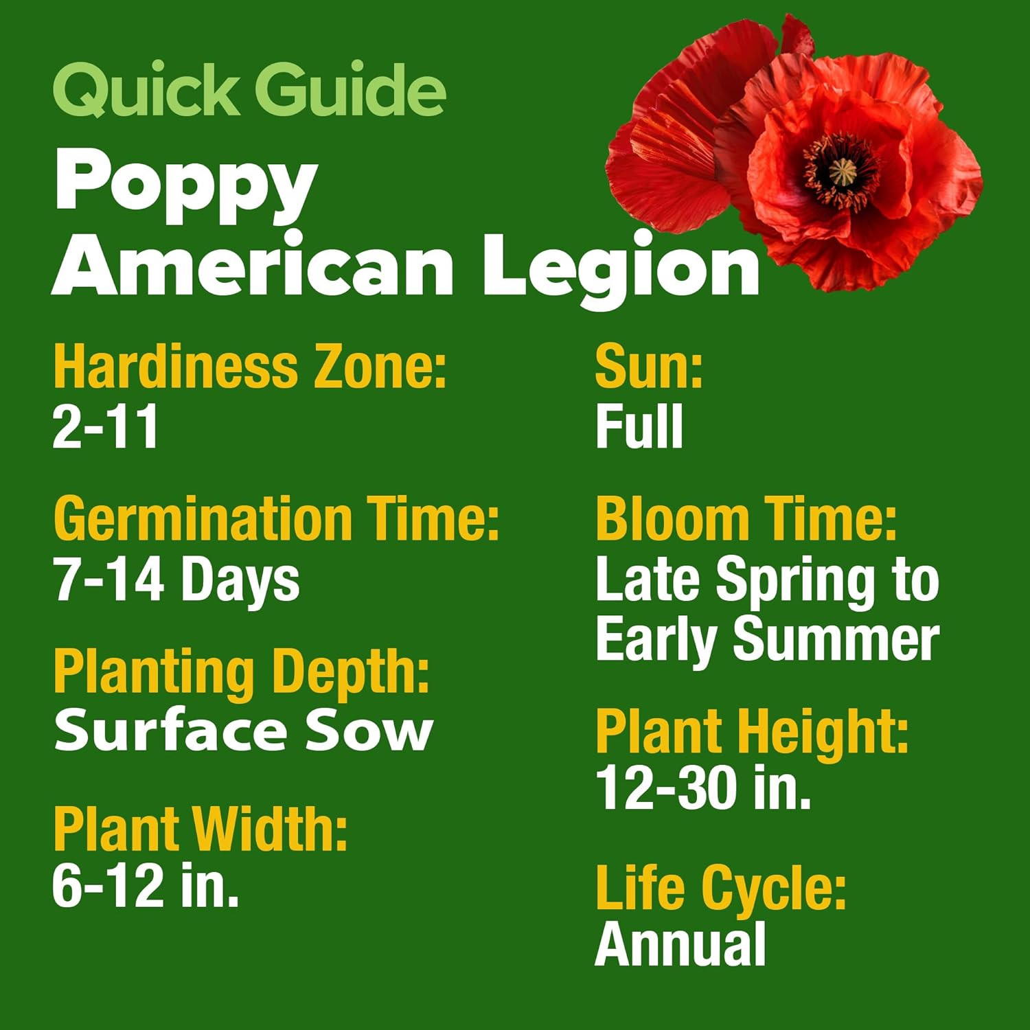 American Legion Red Poppy Seeds – 6,000 Vibrant Wildflower Seeds for Planting Ou