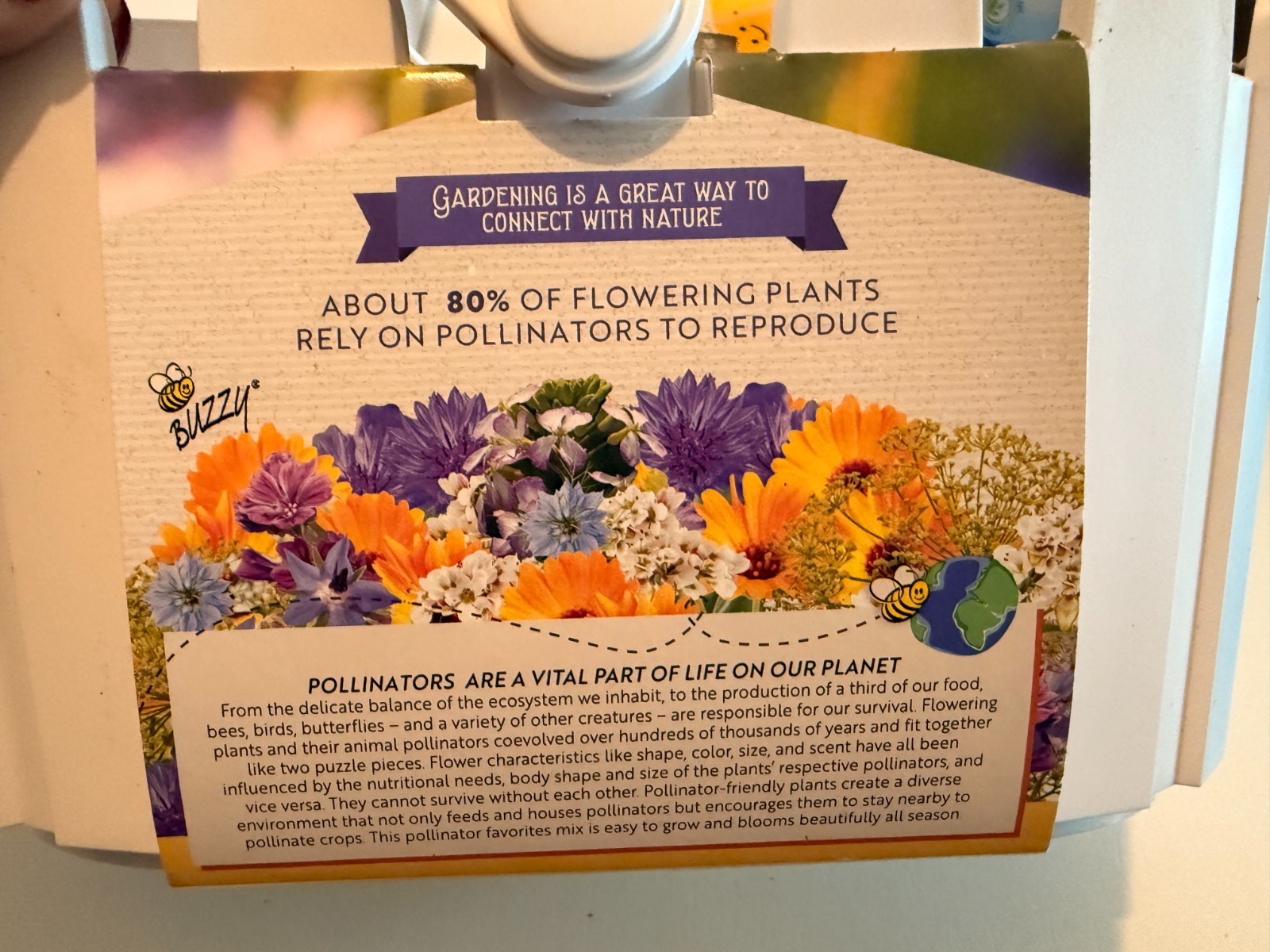 Buzzy Wildflower Pollinator Seed Mix Basket Grow Kit – NEW