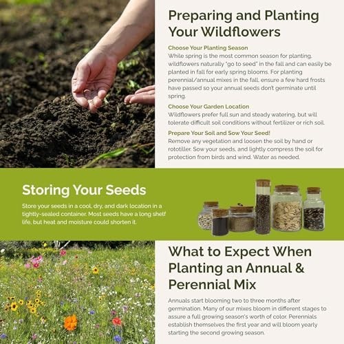 Wildflower Mixed Seeds for Partial Shade – 120,000+ Seeds, Attracts Pollinators,