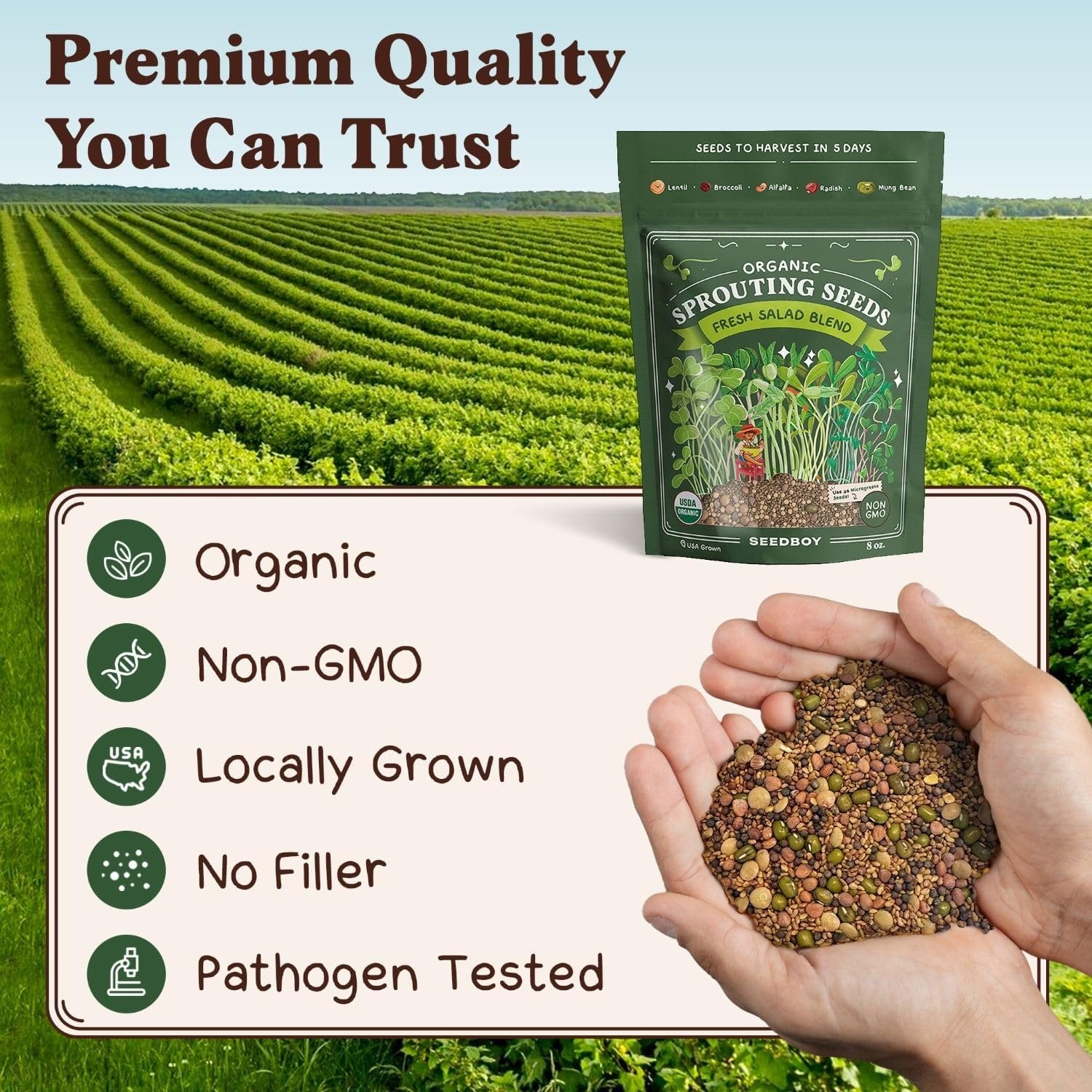 Grow Organic Microgreens Salad Blend Seeds – Alfalfa, Broccoli, Radish Mix