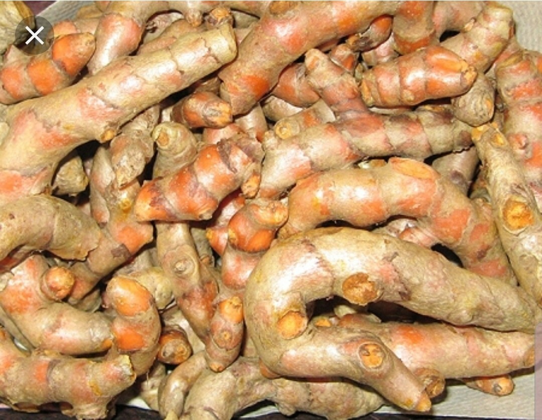 8oz ORGANIC TURMERIC ROOTS – Free 8oz when you buy 3 orders, Healthy Curcuma