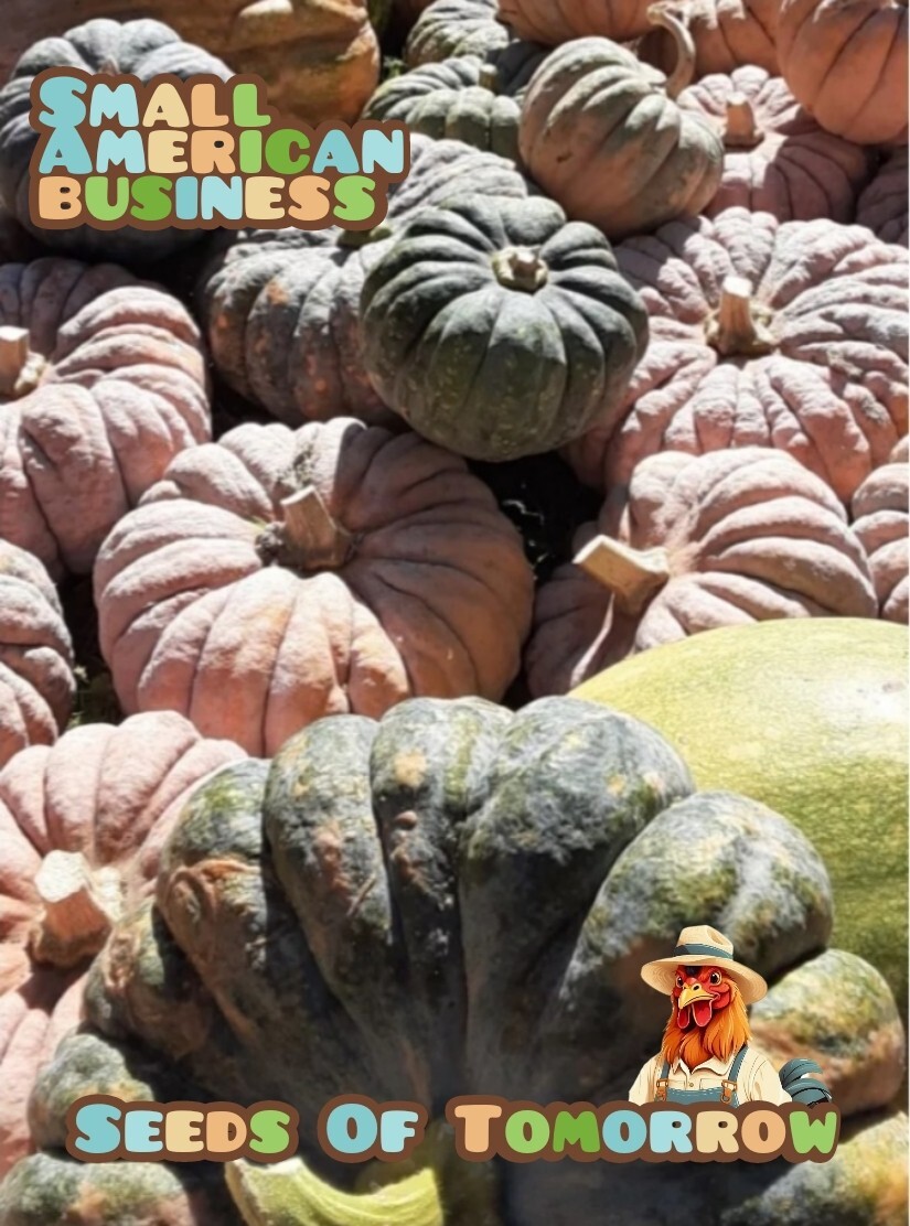 50 Organic Non-GMO Japanese Chirimen winter squash seeds- Seeds of Tomorrow