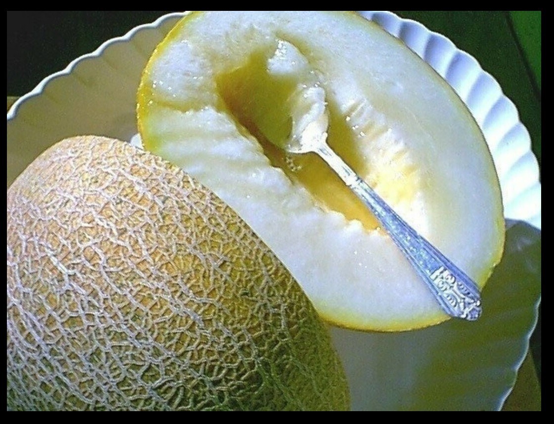 Ein Dor Melon 15 – 50 – 200 Seeds Fragrant Tropical hint of Pineapple & Banana!