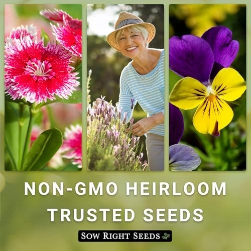 Texas Bluebonnet Flower Seeds Non-GMO Heirloom Perennial Attracts Pollinators