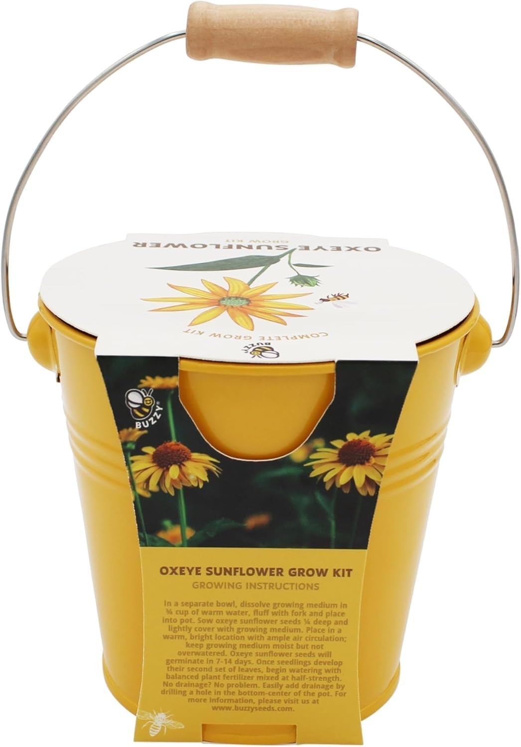 Mini Pollinator Garden 2-Pack: Aster and Ox-Eye Sunflowers to Brighten Spaces