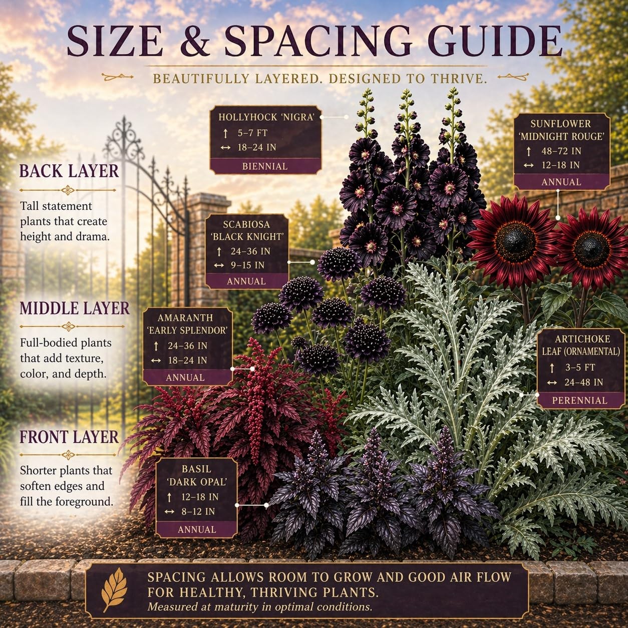 Gothic Garden Seed Collection 6 OpenPollinated Flower & Foliage Varieties