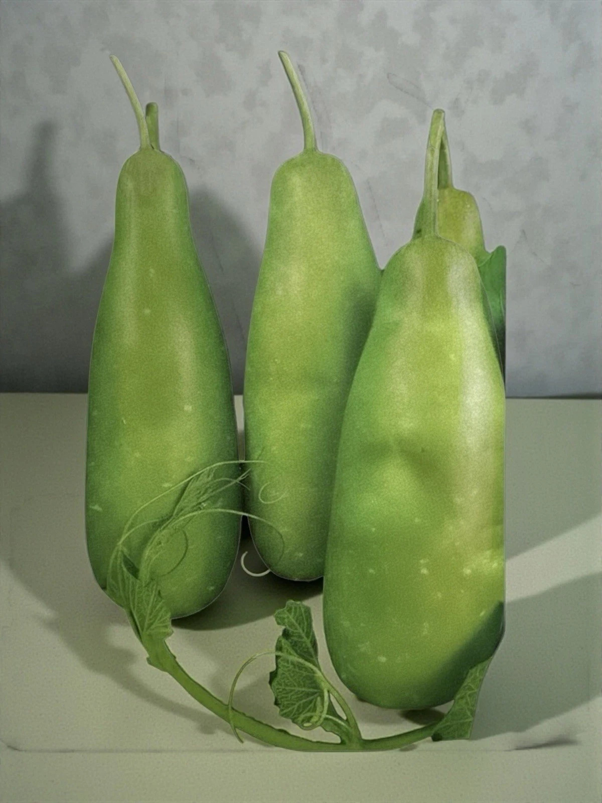 Big Bottle Gourd seeds, Bangladeshi Lau Seeds, 15 Deshi Lau Seeds