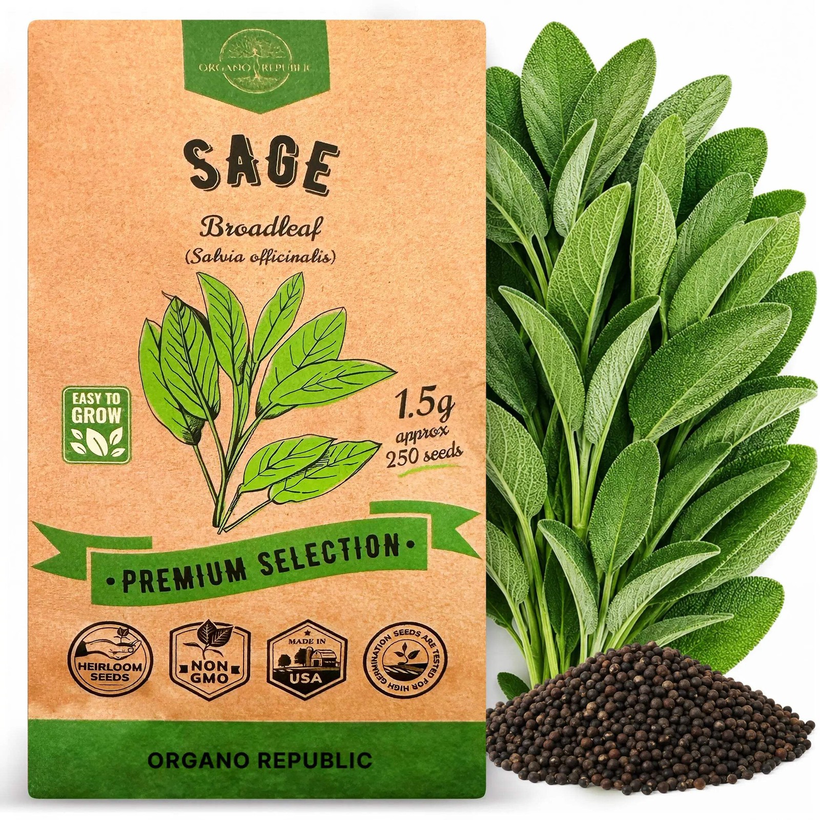 Sage Seeds