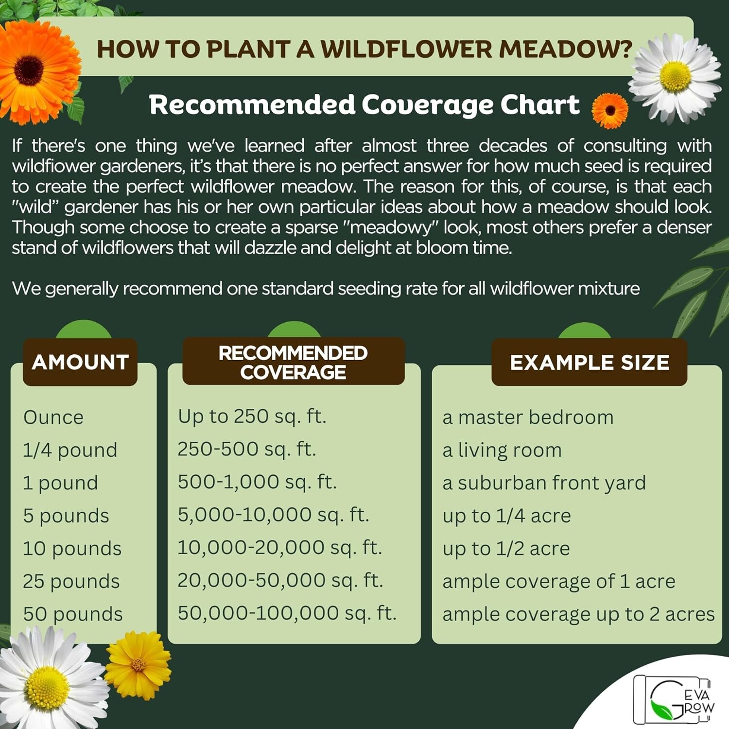 Perennial Wildflower Seed Mix Shaker – 900,000 Seeds for Vibrant Outdoor Spaces