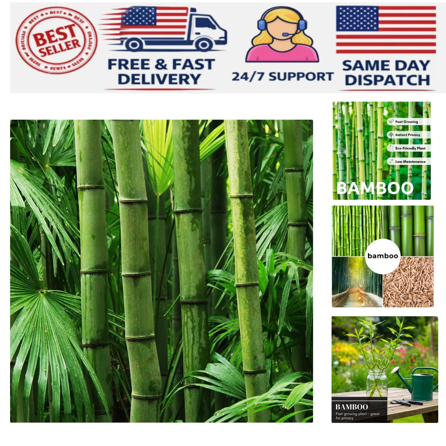 50+ Organic Giant Bamboo Seeds – Eco-Friendly Fast-Growing Privacy Screen