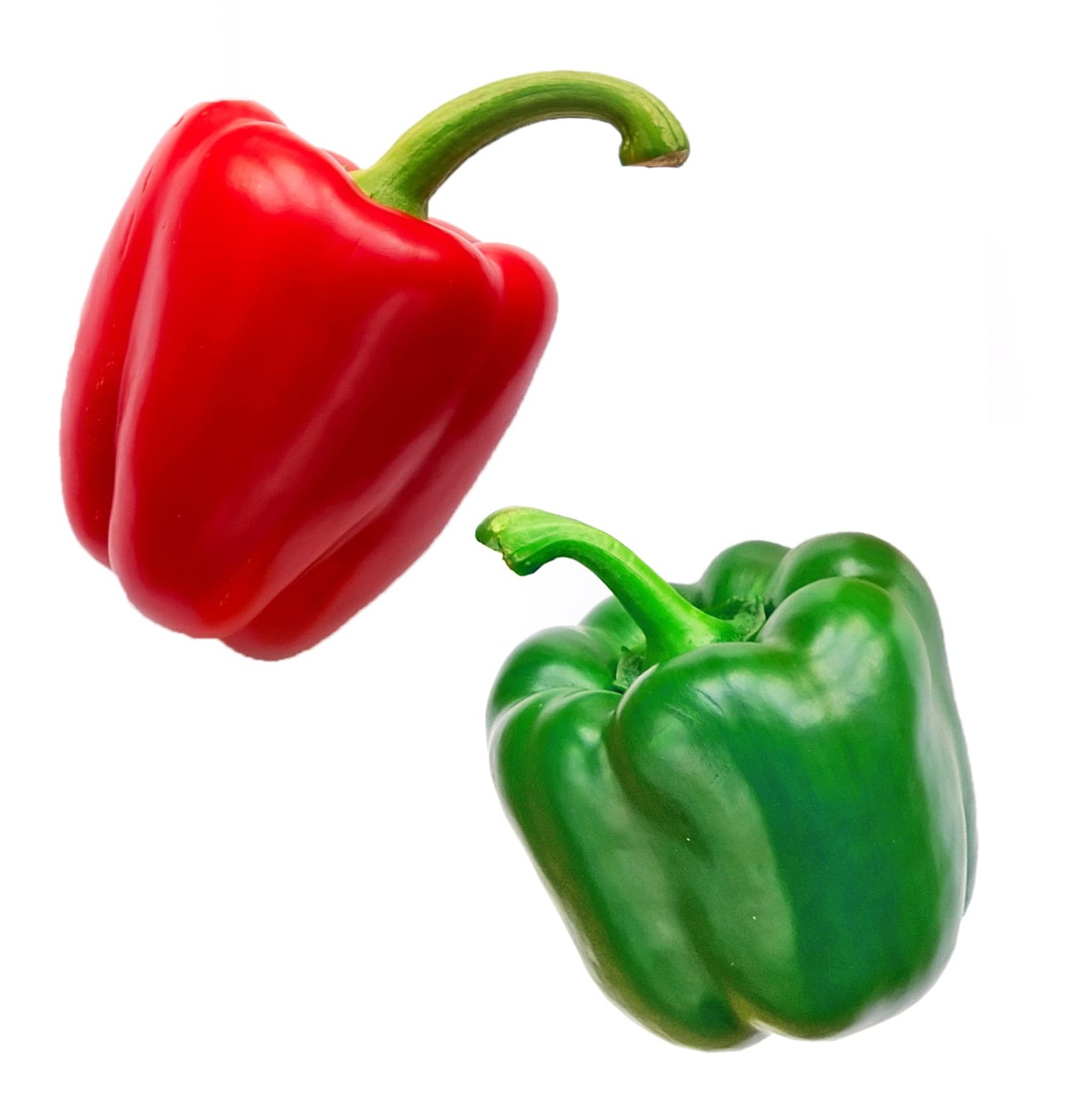 Sweet Bell Pepper Seeds 40ct California Wonder Non-GMO for Planting – Heirloom