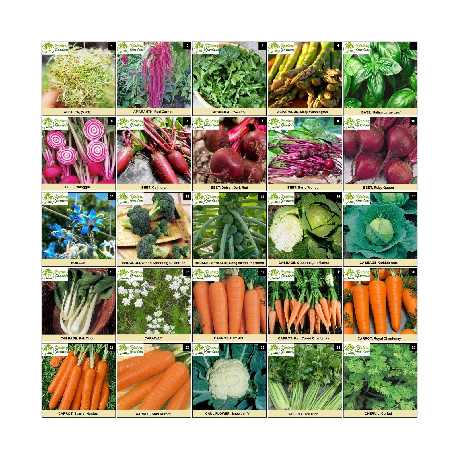 Garden Seeds Vegetable Variety Pack for Planting – Grow 125 Varieties of Heir…