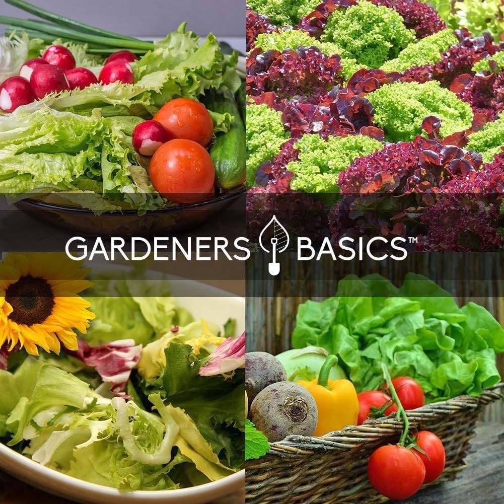 Lettuce Pods Beginner Indoor Garden – Includes Romaine, Buttercrunch Lettuces…