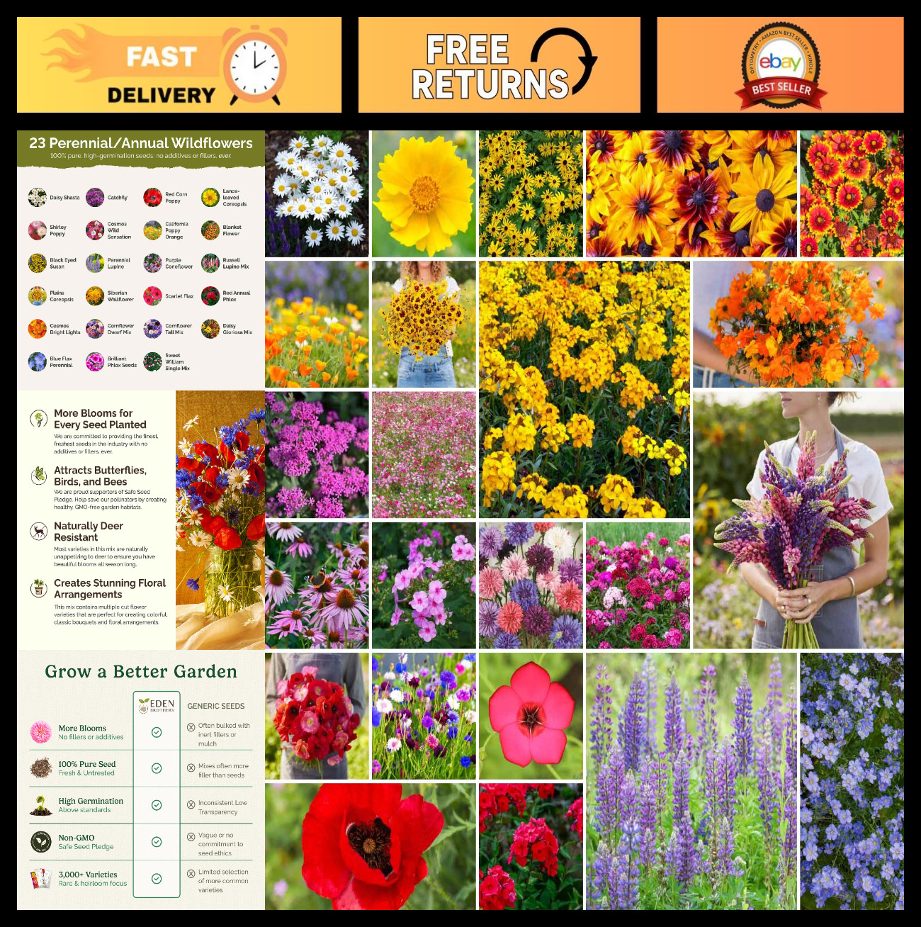 Northeast Wildflower Mixed Seeds – 120,000+ Seeds, Attracts Pollinators, Plant i