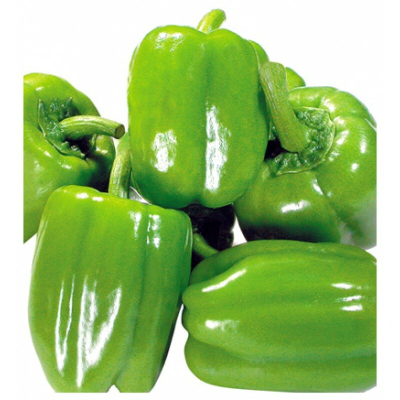 Pepper Seed Turkey Kandil Dolma Sweet 25 pcs Seeds