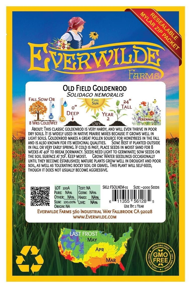 2000 Old Field Goldenrod Wildflower Seeds – Everwilde Farms Mylar Seed Packet