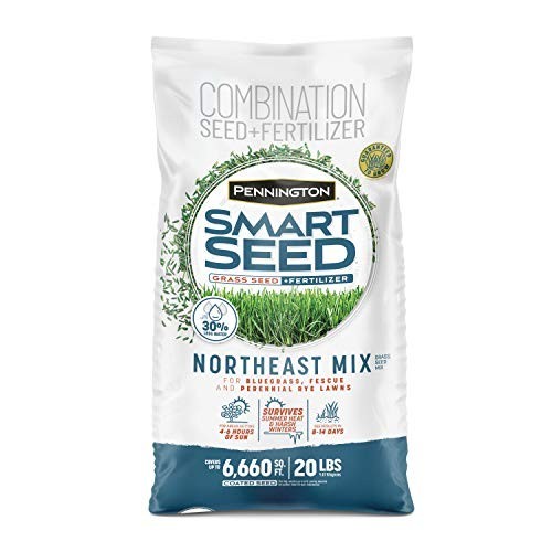Northeast Grass Seed Mix 20 lb – Smart Seed for Lush Lawn, Drought Resistant, Fa
