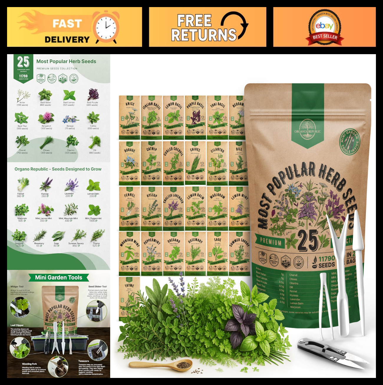 25 Herb Seeds Variety Pack – 11,700 Non-GMO Heirloom Seeds for Hydroponic & Indo