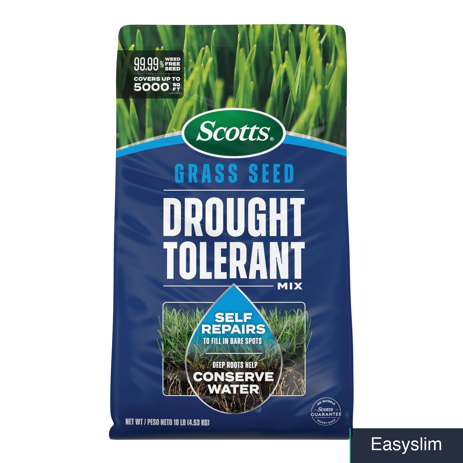 Grass Seed Drought Tolerant Mix Kentucky Bluegrass Tall Fescue 10 lb