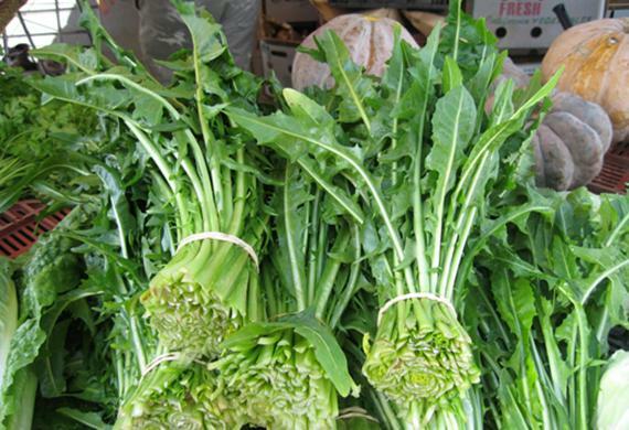 .284g/Over 500 Dandelion Seeds, Heirloom NON-GMO, Fresh Seeds for Your Garden