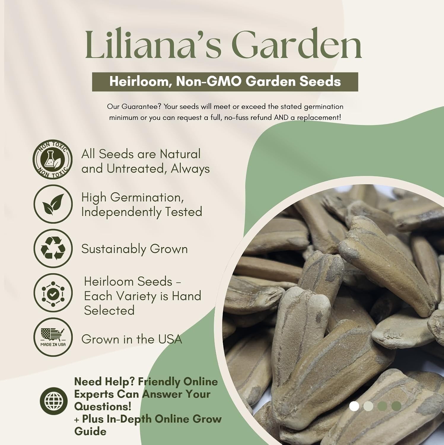 Corsican Gourd Seeds – Hard-Shelled Basket Type Gourds with Thick Walls | |