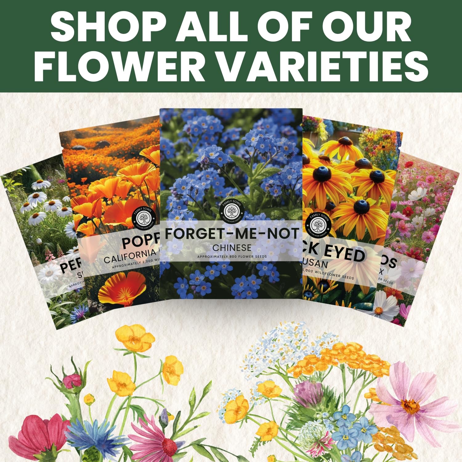 Chinese Forget Me Not Seeds – 18,000 for Planting – 2026 Season – 4 Ounces