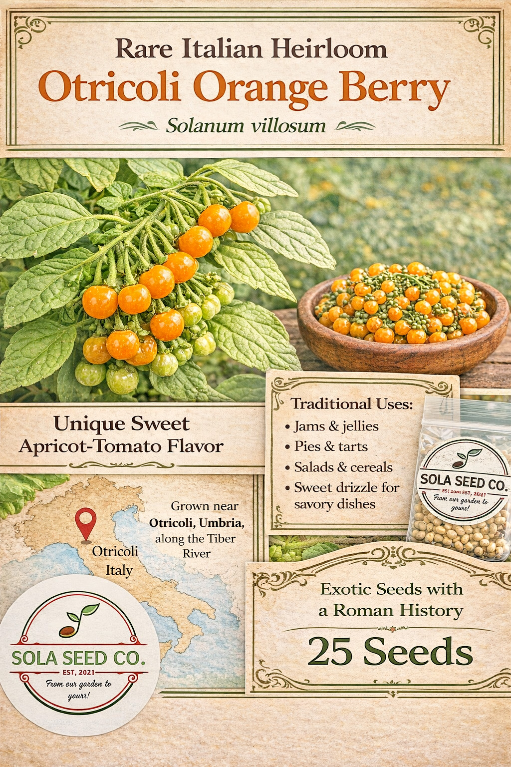 25 Rare Otricoli Orange Huckleberry Seeds Italian Heirloom Solanum edible USA