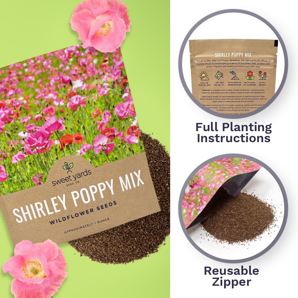 Mixed Color Shirley Poppy Seeds – 200,000 Non-GMO Open Pollinated Seeds