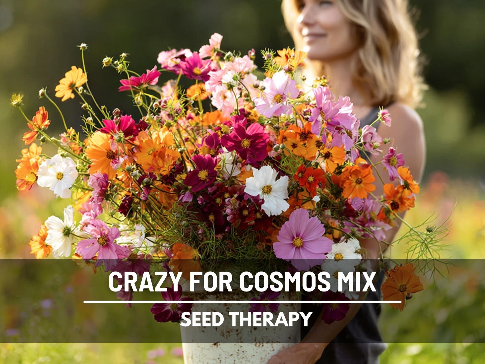 Crazy for Cosmos Seed Mix – 7 Breathtaking Heirloom Varieties