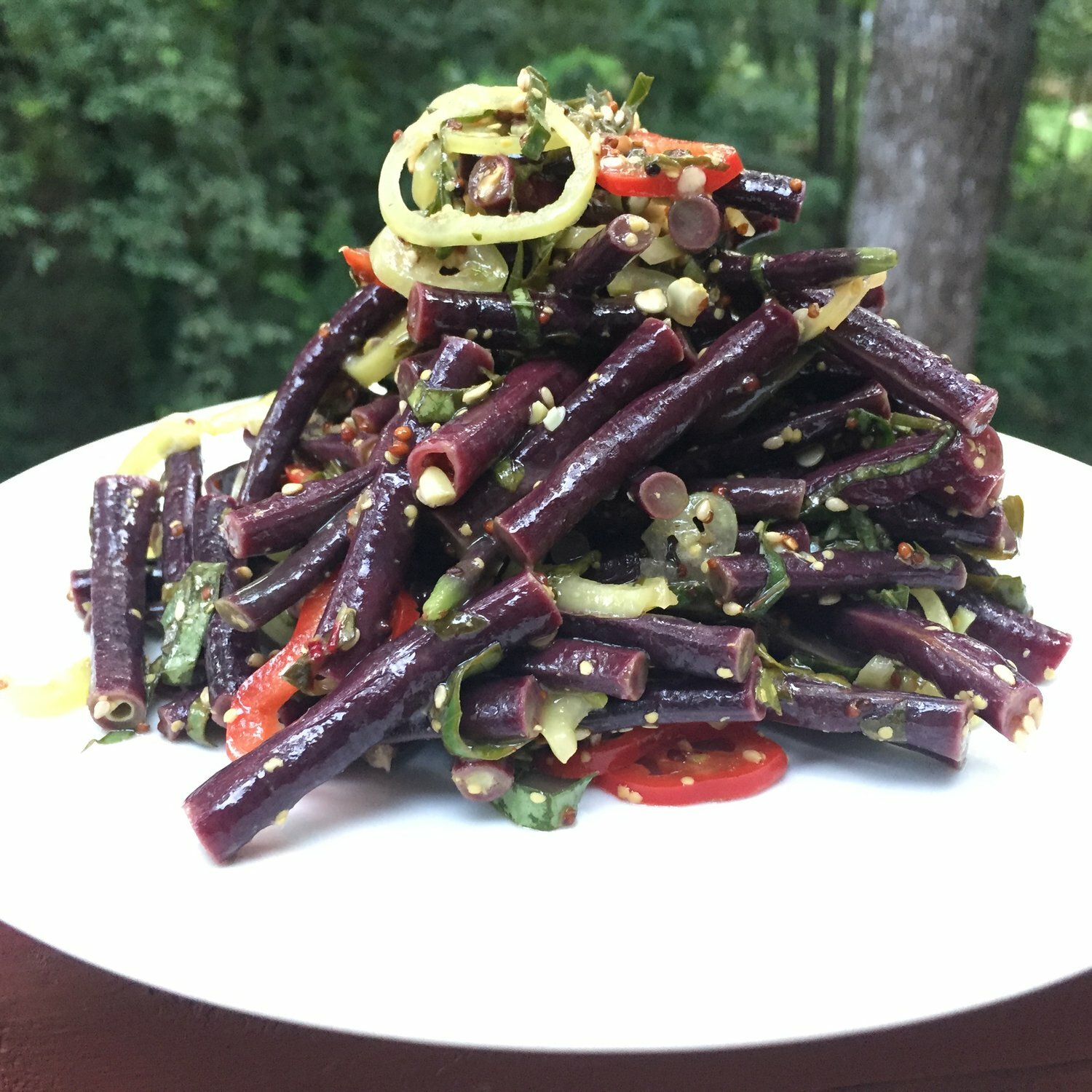 Royal Burgundy Bean Seeds | NON GMO Purple Green Beans Vegetable Seed 2024