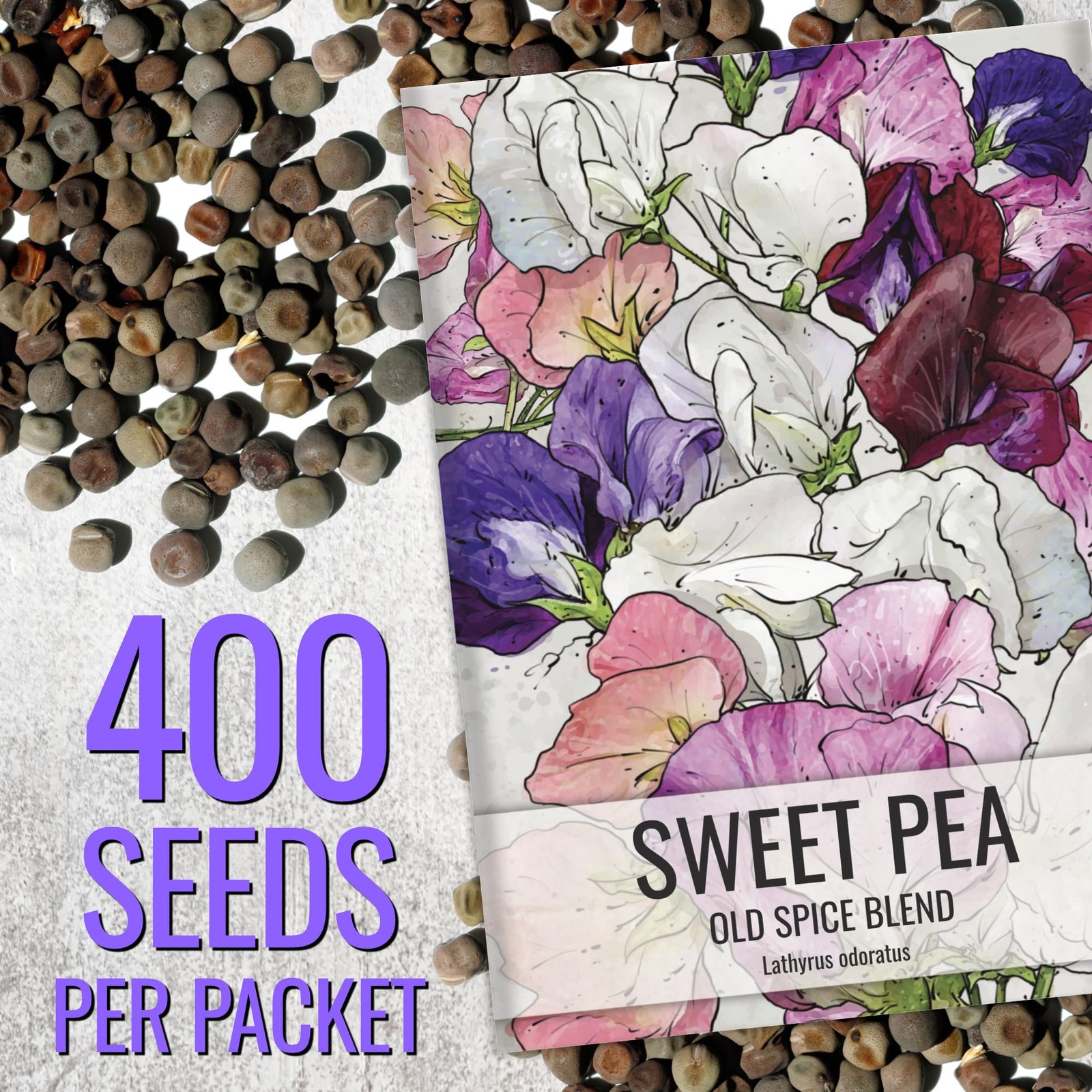 Sweet Pea Seeds for Planting | 400+ Heirloom Annual Flower Seeds | Mixed Colors