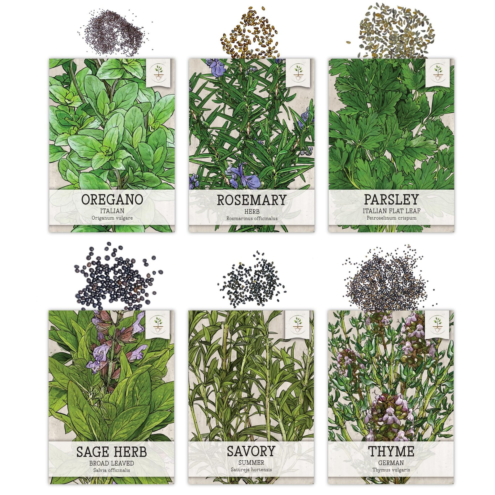 Herb Seeds Variety Pack Culinary Herb Collection (12 Individual Packets for P…