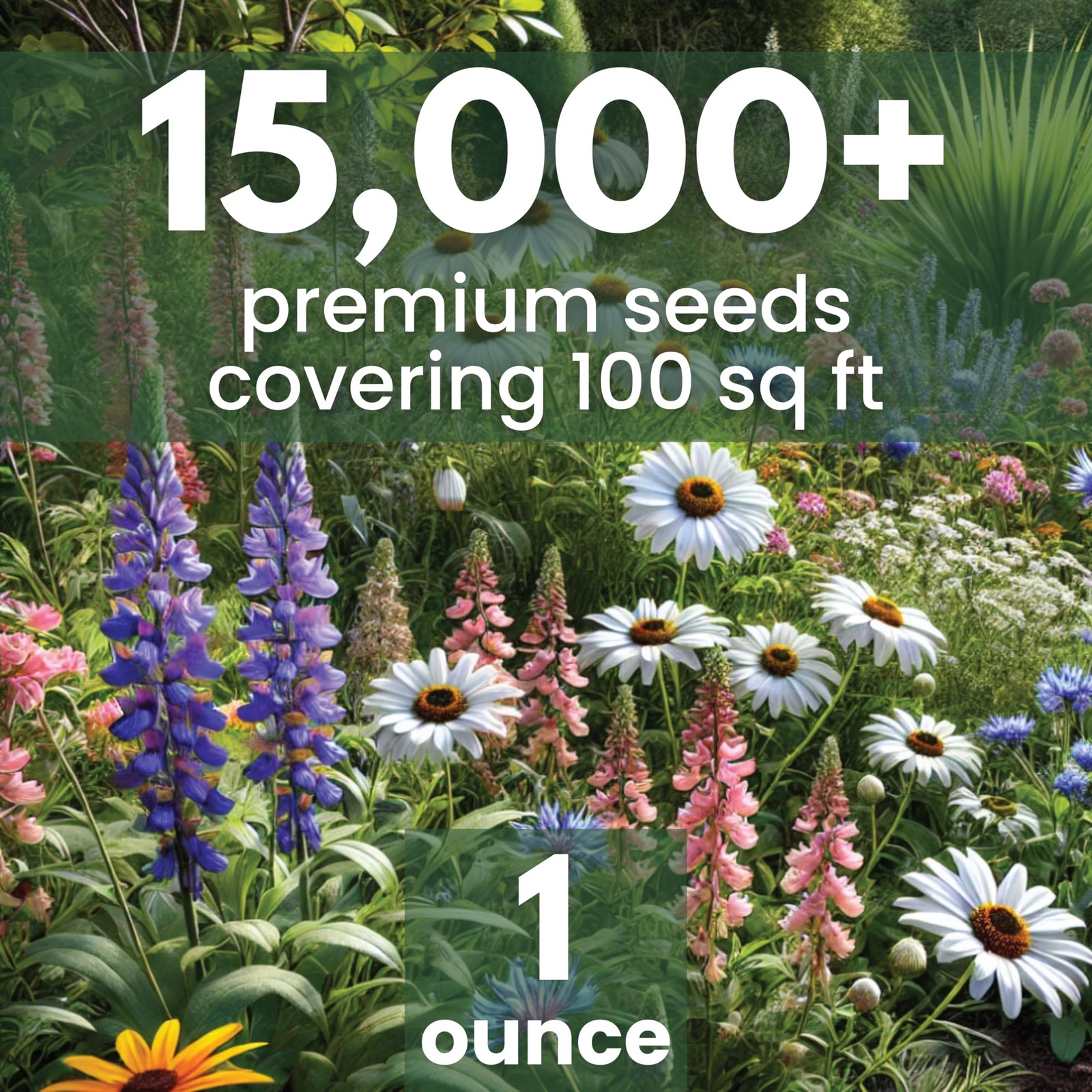 Perennial Species Wildflower Seeds Mix, Large 1 Ounce Packet, 15,000 Seeds