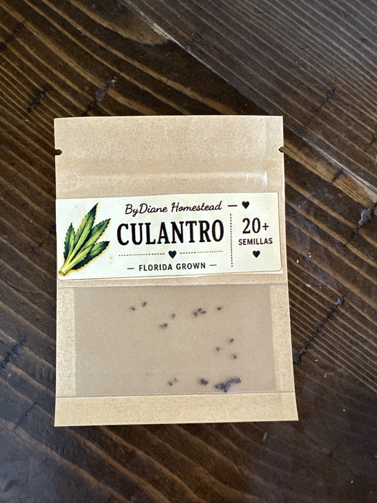 ByDiane Homestead Culantro Herb Seeds 20+ Semillas Florida Grown